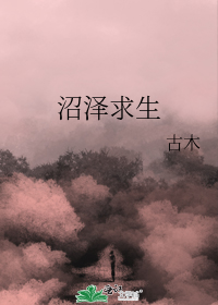 卧听风吹雨